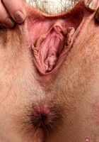 Abby Rain in young and hairy, Abby Rain (abb015) ATK Natural & Hairy: Abby Rain (Abby Rain in young and hairy)