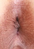 Alice Rebel from ATK Exotics