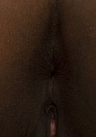 Anne Amari sexy black lingerie, Amari Anne (ann134) ATK Exotics: Amari Anne (Anne Amari sexy black lingerie)