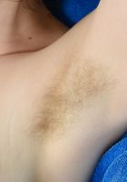 Apricot Pitts in young and hairy, Apricot Pitts (apr024) ATK Natural & Hairy: Apricot Pitts (Apricot Pitts in young and hairy)