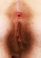 Apricot Pitts Hairy Spreads and Pube Play, Apricot Pitts (apr024) ATK Natural & Hairy: Apricot Pitts (Apricot Pitts Hairy Spreads and Pube Play)