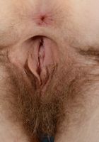 Apricot Pitts in young and hairy, Apricot Pitts (apr024) ATK Natural & Hairy: Apricot Pitts (Apricot Pitts in young and hairy)