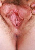 Apricot Pitts' hairiness brings all the boys to the yard, Apricot Pitts (apr024) ATK Natural & Hairy: Apricot Pitts (Apricot Pitts' hairiness brings all the boys to the yard)
