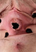 Apricot Pitts from ATK Natural & Hairy