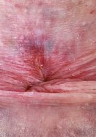 Avery Wilds from ATK Galleria