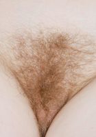 Benji in scary hairy, Benji (ben003) ATK Natural & Hairy: Benji (Benji in scary hairy)