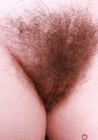 ATK Petites: Big Eyes (Big Eyes might be a cow)