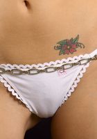 Cassia in latinas, Cassia (cas031) ATK Exotics: Cassia (Cassia in latinas)