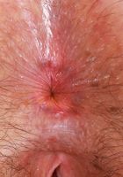 Cece Lachey Yellow Panties, Cece Lachey (cec015) ATK Natural & Hairy: Cece Lachey (Cece Lachey Yellow Panties)