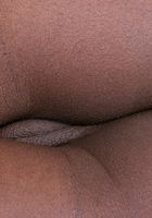 Celon from ATK Exotics