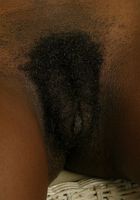 Constance from ATK Exotics