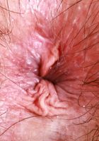 Annabelle Lee is on a pink top and jeans today, Annabelle Lee (cri007) ATK Natural & Hairy: Annabelle Lee (Annabelle Lee is on a pink top and jeans today)