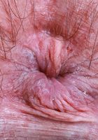 Annabelle Lee from ATK Petites