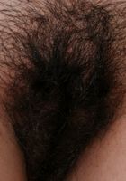 Daisy in exotic and hairy, Daisy (dai012) ATK Petites: Daisy (Daisy in exotic and hairy)