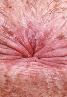 Dakota Marr is lifting her skirt and dropping it, Dakota Marr (dak010) ATK Natural & Hairy: Dakota Marr (Dakota Marr is lifting her skirt and dropping it)