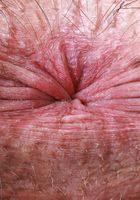 Dakota Marr from ATK Natural & Hairy