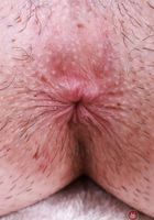 ATK Petites: Daydream Daisy (Daydream Daisy brought you flowers)