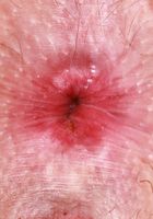 Delilah Day Skirt Tease & Spreading, Delilah Day (del040) ATK Petites: Delilah Day (Delilah Day Skirt Tease & Spreading)
