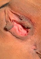 Demi Lopez takes off what she's got, Demi Lopez (dem005) ATK Exotics: Demi Lopez (Demi Lopez takes off what she's got)