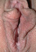 Extasy in latinas, Extasy (ext001) ATK Exotics: Extasy (Extasy in latinas)