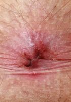 Gigi from ATK Natural & Hairy