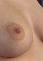 Hallie in upskirts and panties, Hallie (hal010) ATK Exotics: Hallie (Hallie in upskirts and panties)
