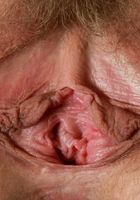 Heidi Hanson in mature and hairy, Heidi Hanson (hei013) ATK Natural & Hairy: Heidi Hanson (Heidi Hanson in mature and hairy)