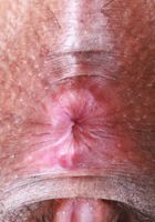 Isabella Jules from ATK Exotics