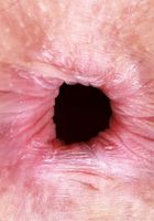 Jackie Hoff from ATK Natural & Hairy