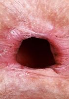 Jackie Hoff from ATK Natural & Hairy