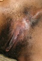 Jada loves to be a hot tease with her thick dark hairy pussy, Jada (jad016) ATK Exotics: Jada (Jada loves to be a hot tease with her thick dark hairy pussy)