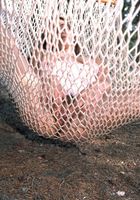 jill in nudism, jill (jil012) ATK Archives: jill (jill in nudism)