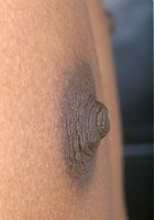 Kadia in upskirts and panties, Kadia (kad001) ATK Exotics: Kadia (Kadia in upskirts and panties)