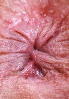 ATK Exotics: Kate Legend (Kate Legend is getting sporty and naked)