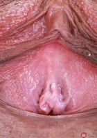 Kate Legend from ATK Exotics