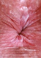 ATK Petites: Katerina Karson (Katrina Karson is sexy as hell)