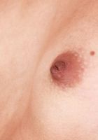 Kimmy Kimm Strips & Spreads, Kimmy Kimm (kim069) ATK Petites: Kimmy Kimm (Kimmy Kimm Strips & Spreads)