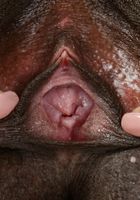 Kinsley Karter in black women, Kinsley Karter (kin010) ATK Exotics: Kinsley Karter (Kinsley Karter in black women)