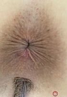 Lily Adams Tight and Ready, Lily Adams (lil089) ATK Galleria: Lily Adams (Lily Adams Tight and Ready)