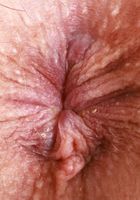 ATK Galleria: Lilibet Saunders (Lilibet Saunders has some sexy fun on her mind)