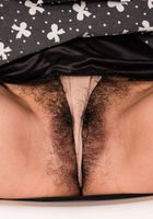 Lulu Sparkle in exotic and hairy, Lulu Sparkle (lul009) ATK Natural & Hairy: Lulu Sparkle (Lulu Sparkle in exotic and hairy)