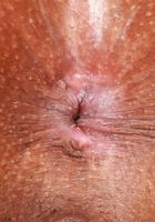 Maya Farrell Gets Out Of Her Lingerie, Maya Farrell (may024) ATK Exotics: Maya Farrell (Maya Farrell Gets Out Of Her Lingerie)