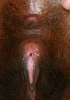 Miltie in thick women, Miltie (mil020) ATK Exotics: Miltie (Miltie in thick women)
