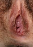 Monkee in young and hairy, Monkee (mon091) ATK Natural & Hairy: Monkee (Monkee in young and hairy)