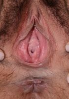 Nenetl Avril in young and hairy, Nenetl Avril (nen002) ATK Natural & Hairy: Nenetl Avril (Nenetl Avril in young and hairy)