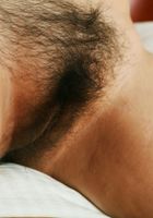 ATK Archives: Polly (Polly in)