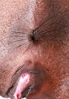 Poppy Cox from ATK Exotics