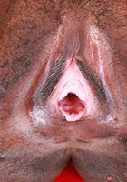 ATK Exotics: Poppy Cox (Poppy Cox takes it off)