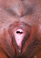 ATK Exotics: Poppy Cox (Poppy Cox Nude Posing Exotic Pussy Spreading)