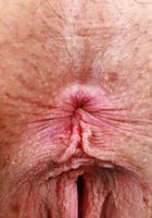 Sahara Skye from ATK Natural & Hairy